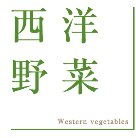 西洋野菜