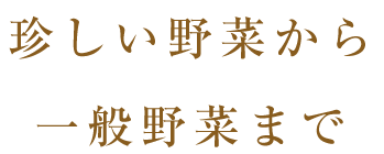 珍しい野菜から