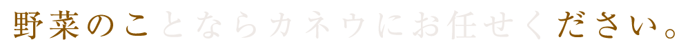 野菜のことならカネウにお任せください。