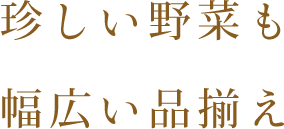 珍しい野菜も 幅広い品揃え