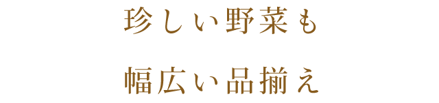 珍しい野菜も 幅広い品揃え